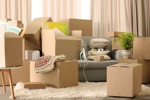 User managing cookie preferences for a removals website